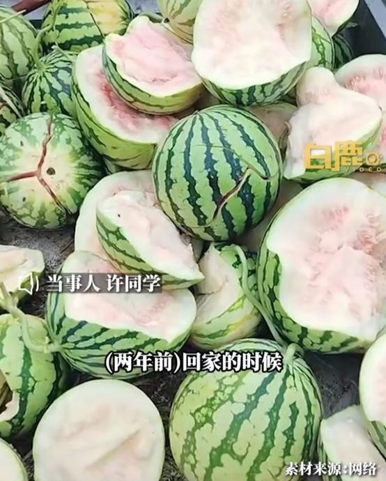 最新校园瓜爆料,揭秘最新校园瓜爆料背后的真相 第1张 最新校园瓜爆料,揭秘最新校园瓜爆料背后的真相 第1张